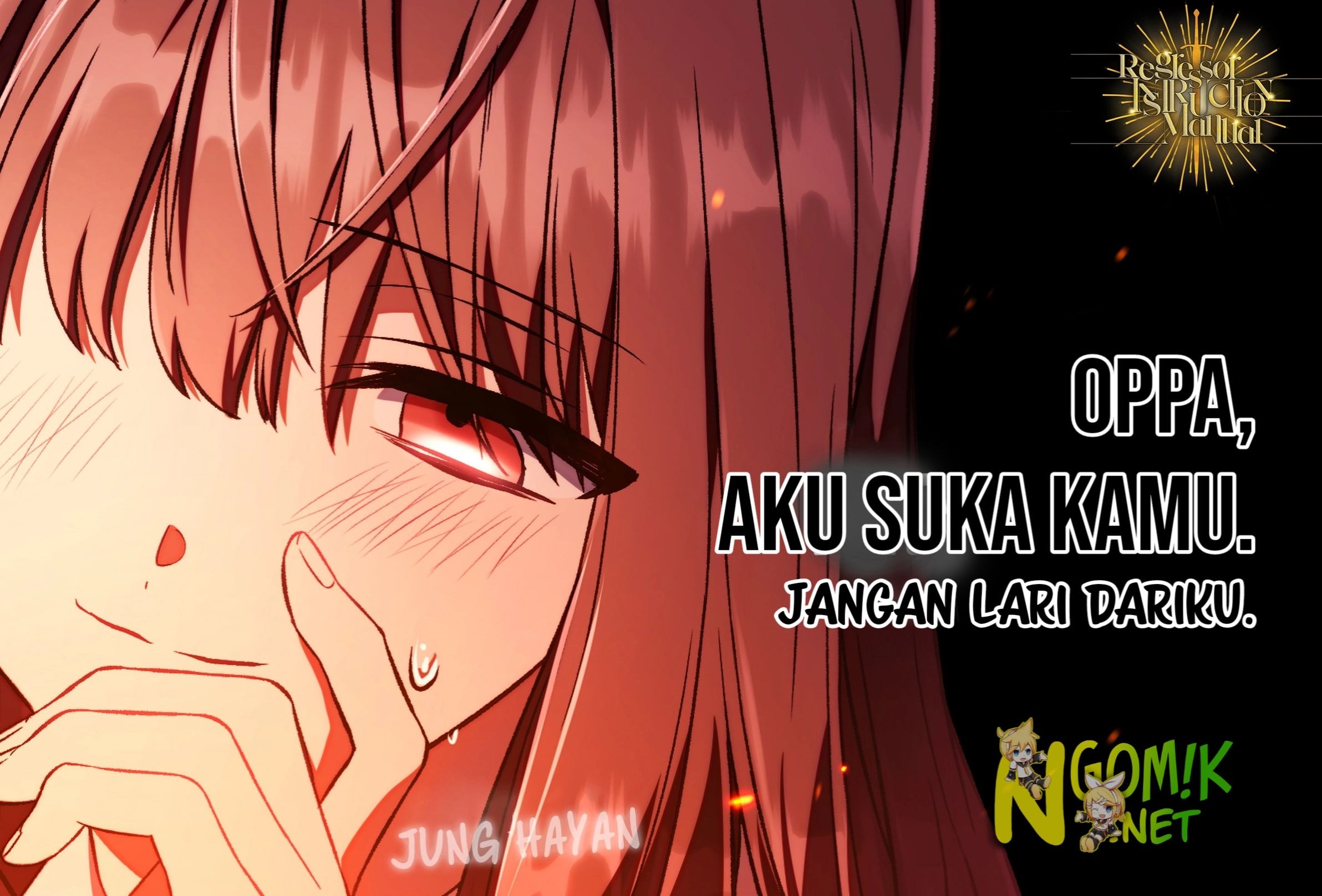 Baca Regressor Instruction Manual - Chapter 0.1 halaman 5