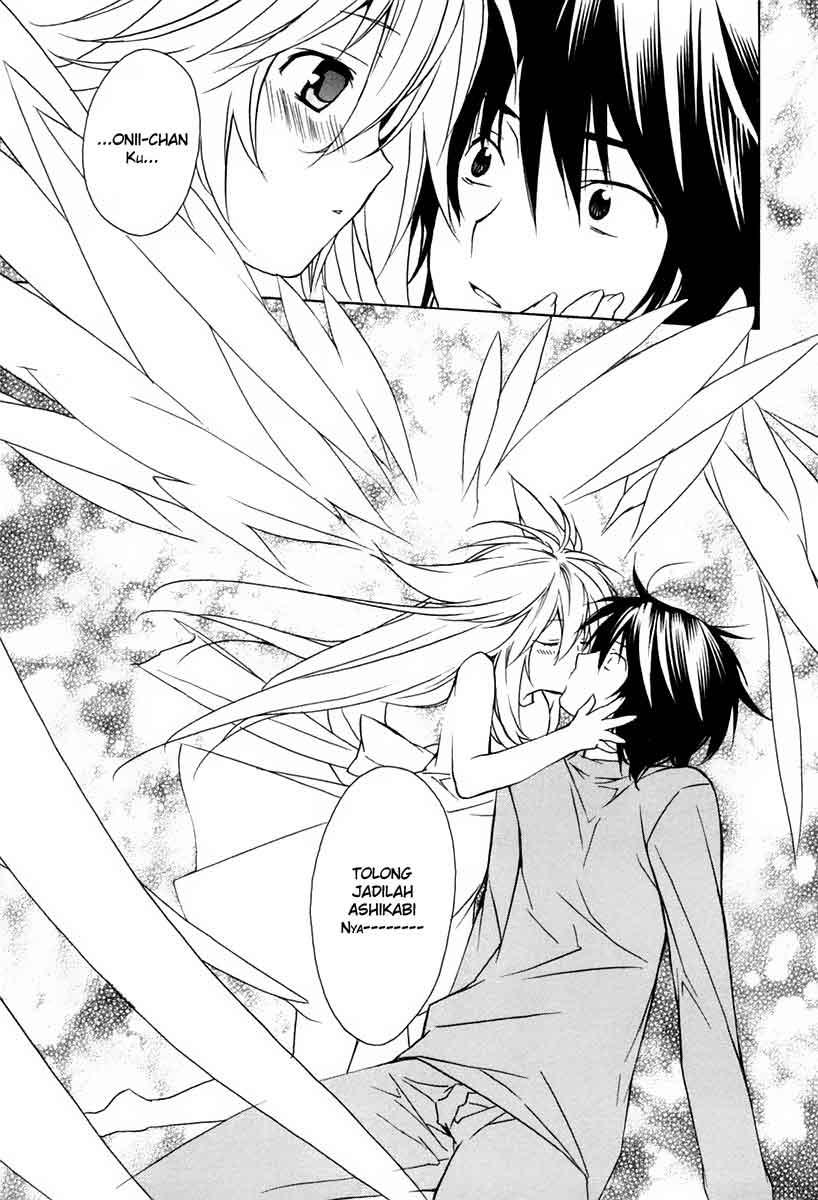 Baca Sekirei - Chapter 10 halaman 19