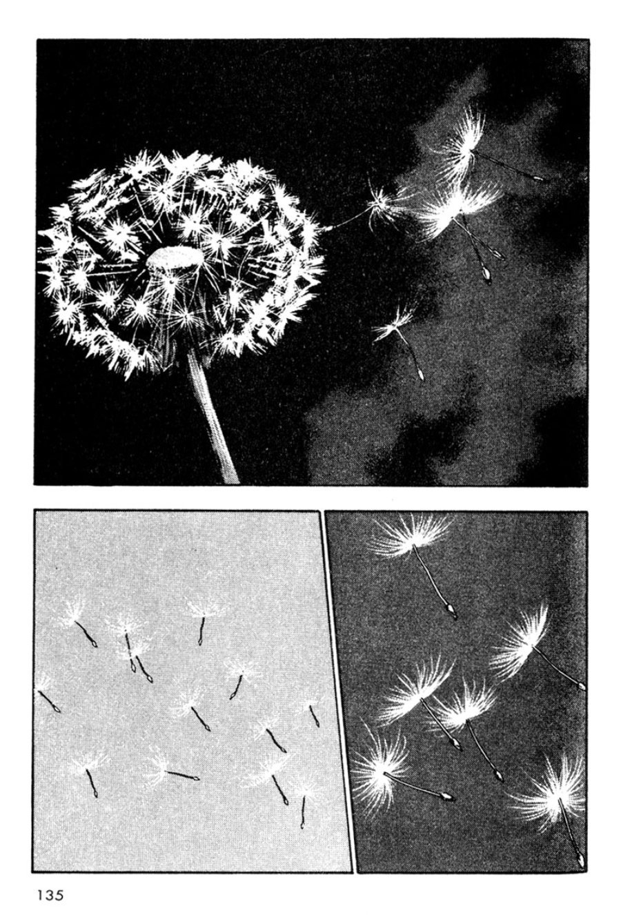 Baca Shamo - Chapter 17 halaman 14