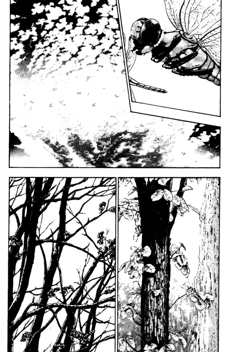 Baca Shamo - Chapter 17 halaman 5