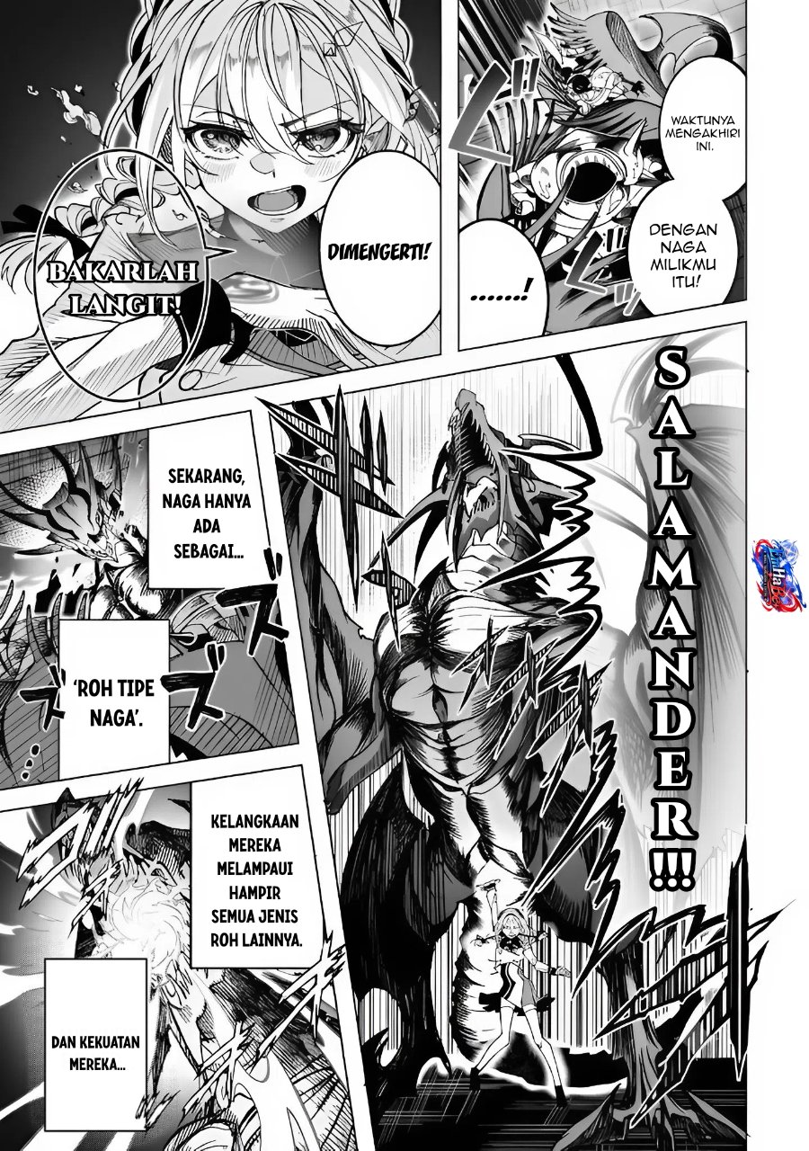 Shin no Jitsuryoku wo Kakushiteiru to Omowareteru Seireishi, Jitsuwa Itsumo Meccha Honki de Tatakattemasu Chapter 5 - Page 13