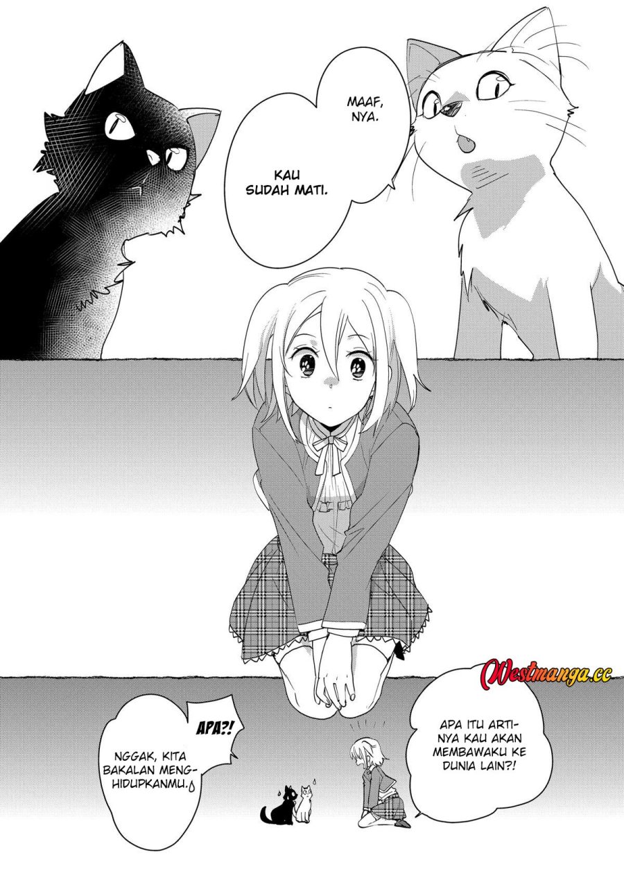 Baca Sokushi Cheat ga Saikyou Sugite, Isekai no Yatsura ga Marude Aite ni Naranai n desu ga - Chapter 52 halaman 7
