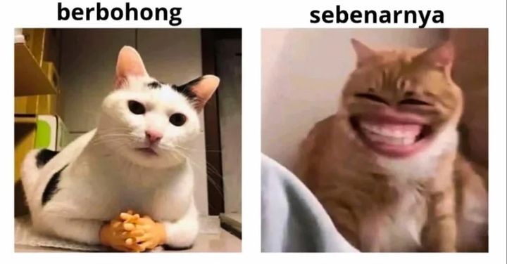 Baca Supreme Cursemancer - Chapter 57 halaman 22