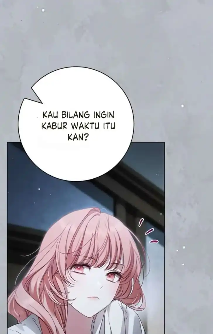 Baca The Count's Secret Maid - Chapter 58 halaman 239