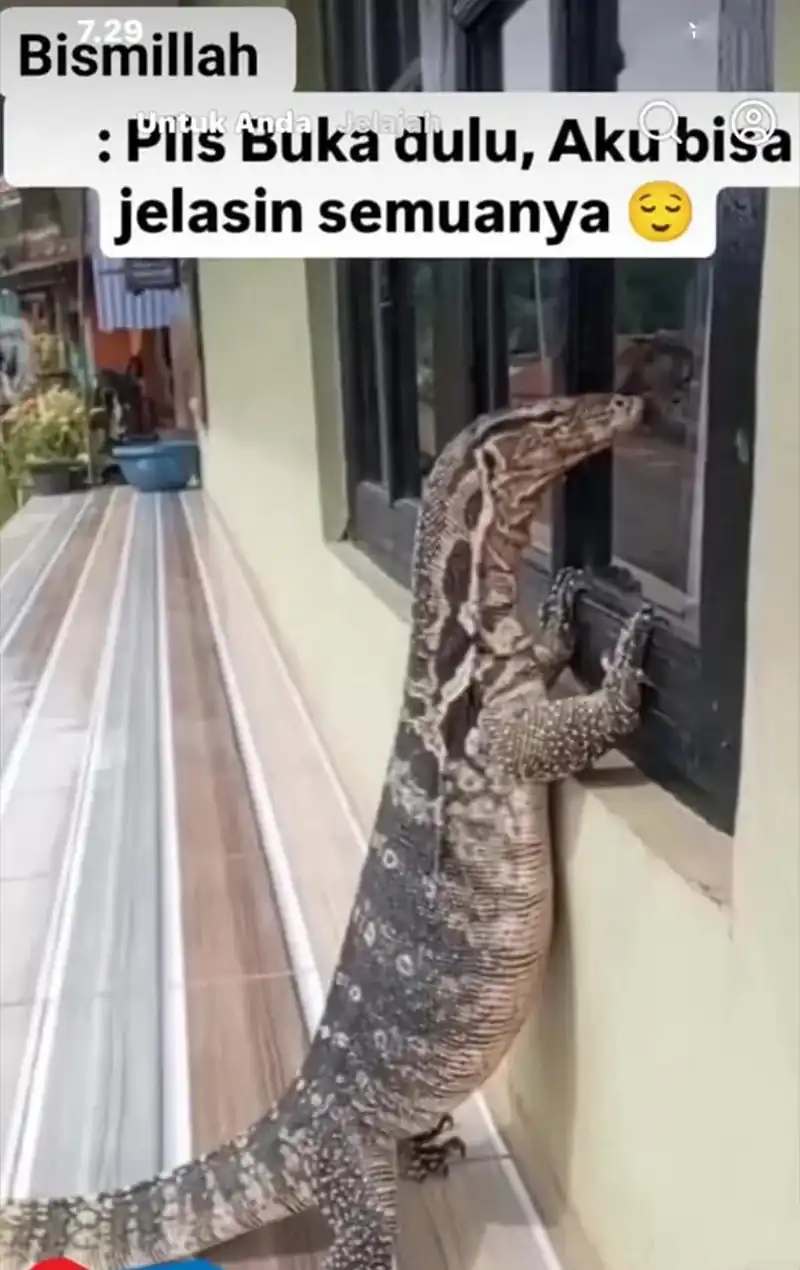 Baca The Evil Alchemist Can't Handle His Own Experiment - Chapter 81 halaman 46