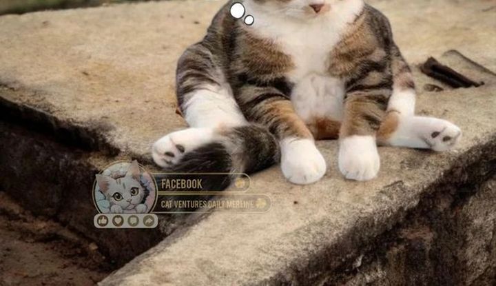 Baca The Game's Top Troll - Chapter 175 halaman 50