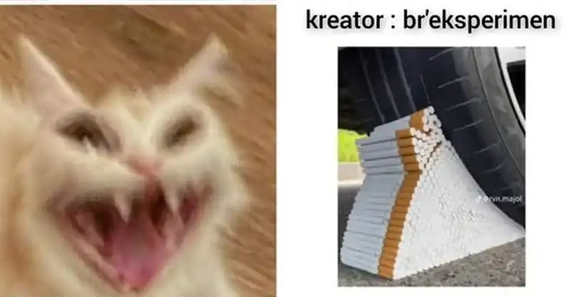 Baca The Heavenly Path Is Not Stupid - Chapter 175 halaman 35