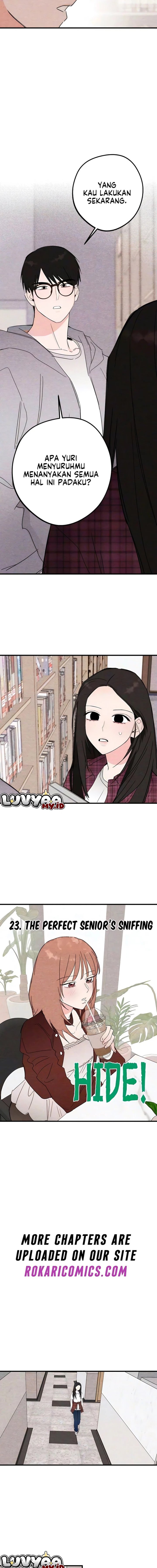 The Perfect Senior’s Secret! Chapter 23 - Page 2