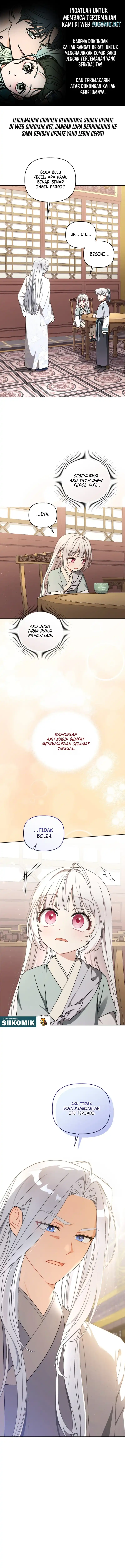 The White Tiger Clan’s Baby Cotton Ball Chapter 24 - Page 1