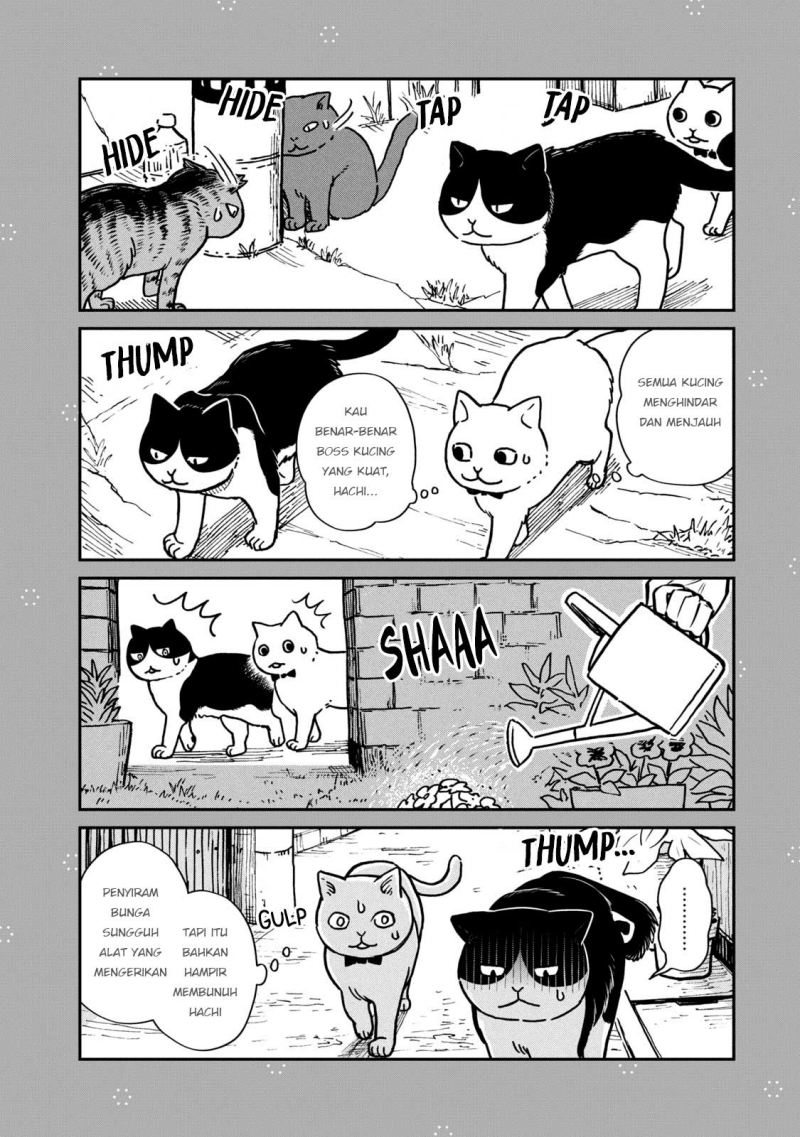 Baca Tsureneko: Maruru to Hachi - Chapter 1.1 halaman 3