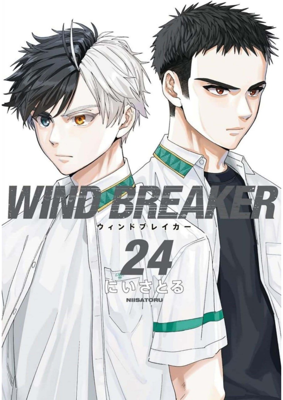 Baca Wind Breaker (NII Satoru) Chapter 201 Bahasa Indonesia page 6
