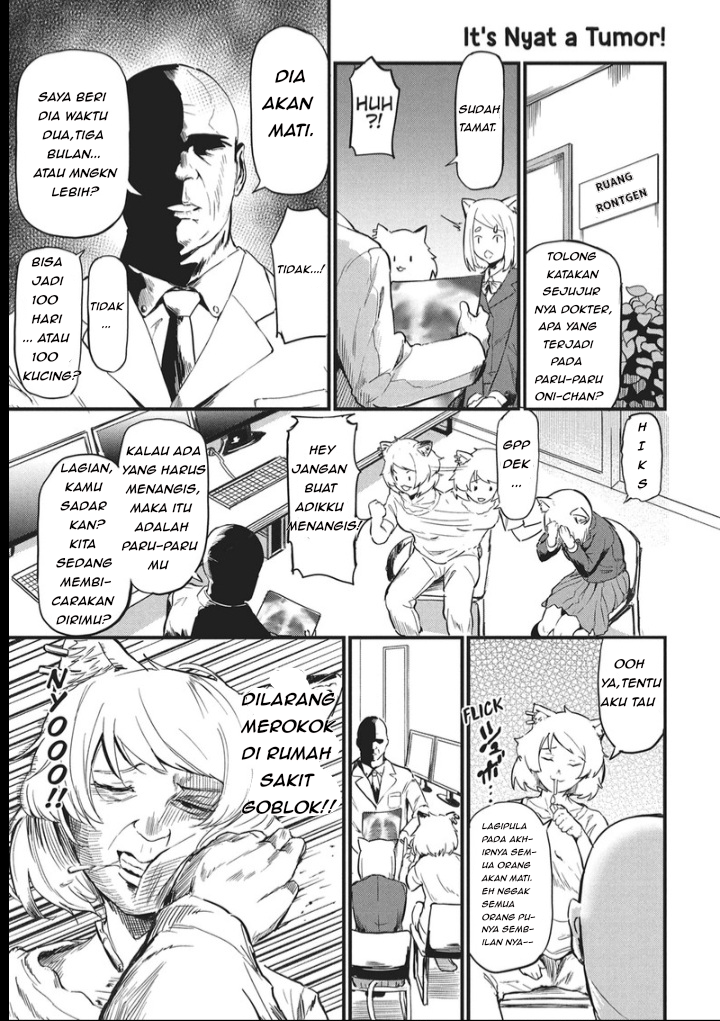 Yani Neko Chapter 2 - Page 11